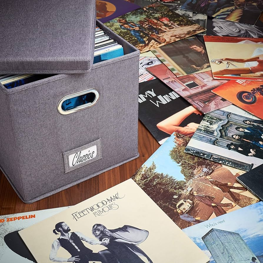 picture of vinyls and bin